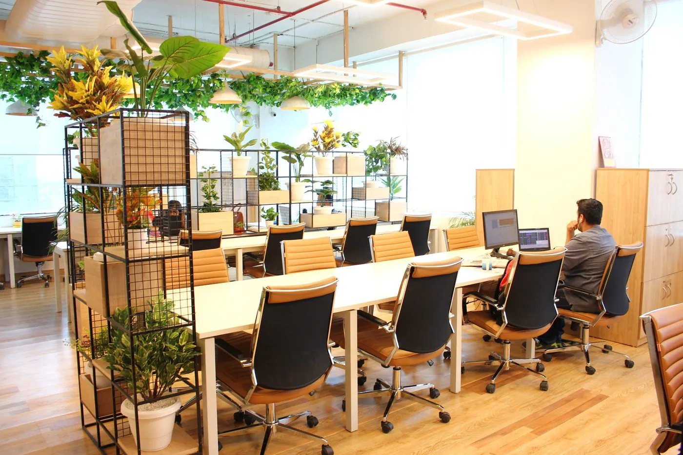Premium flex space and coworking environment